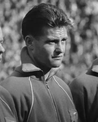 Kees Kuijs