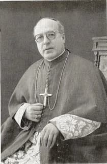Domingos da Apresentação Fernandes