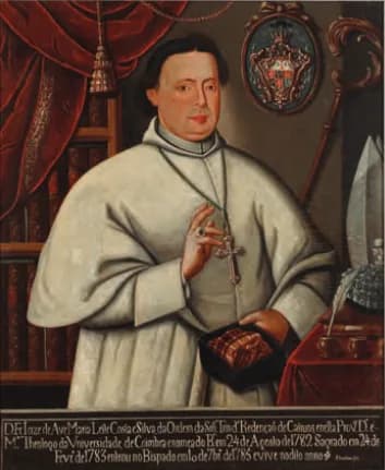 José da Avé-Maria Leite da Costa e Silva