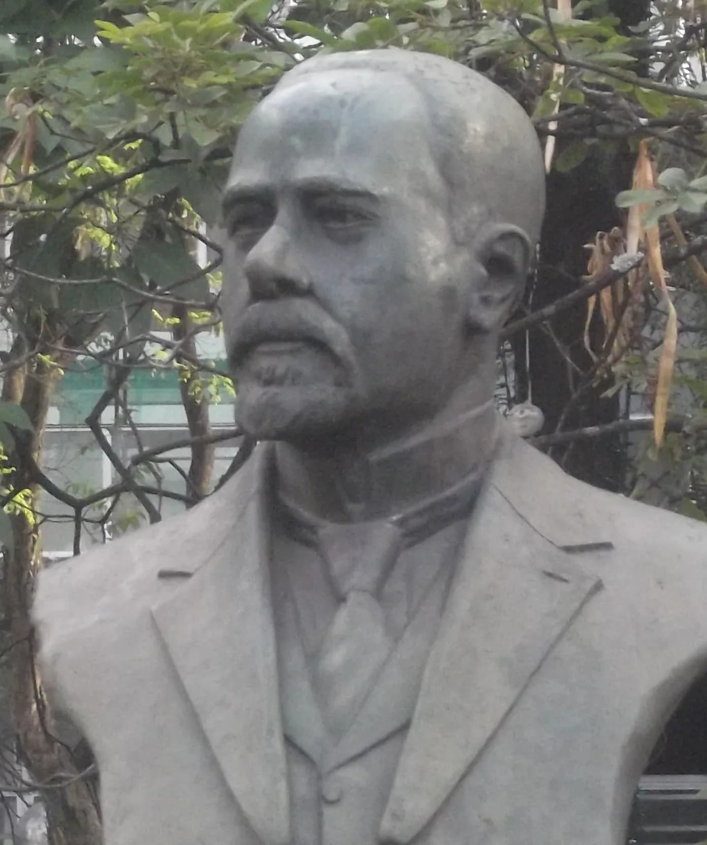 Júlio Bueno Brandão