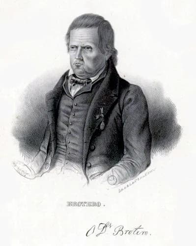 Felix de Avelar Brotero