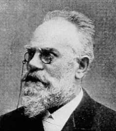 Carl Domanig