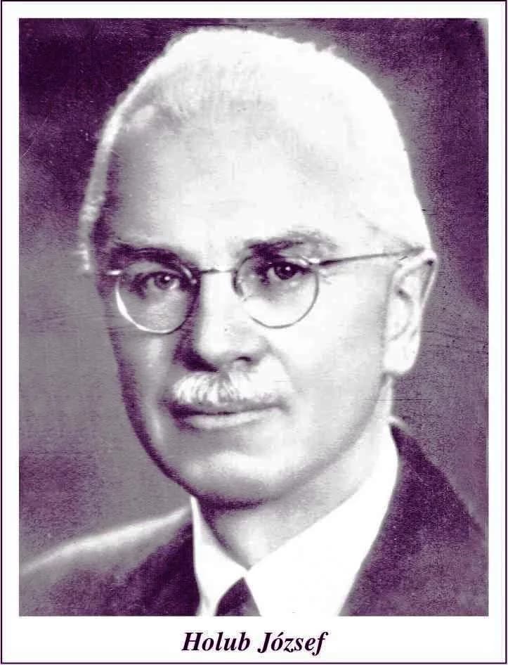 József Holub