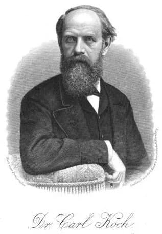Carl Koch