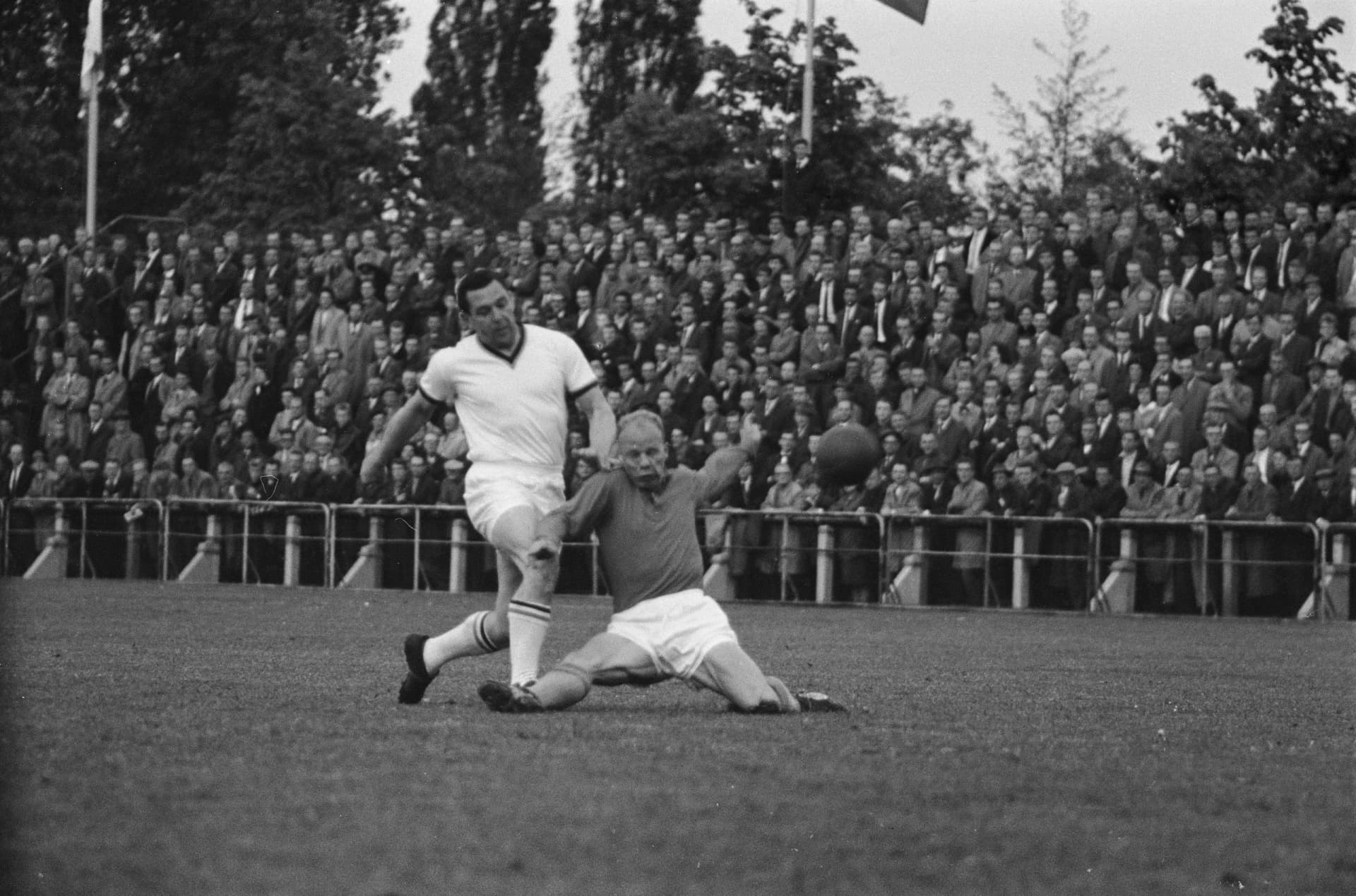 Harold Hassall