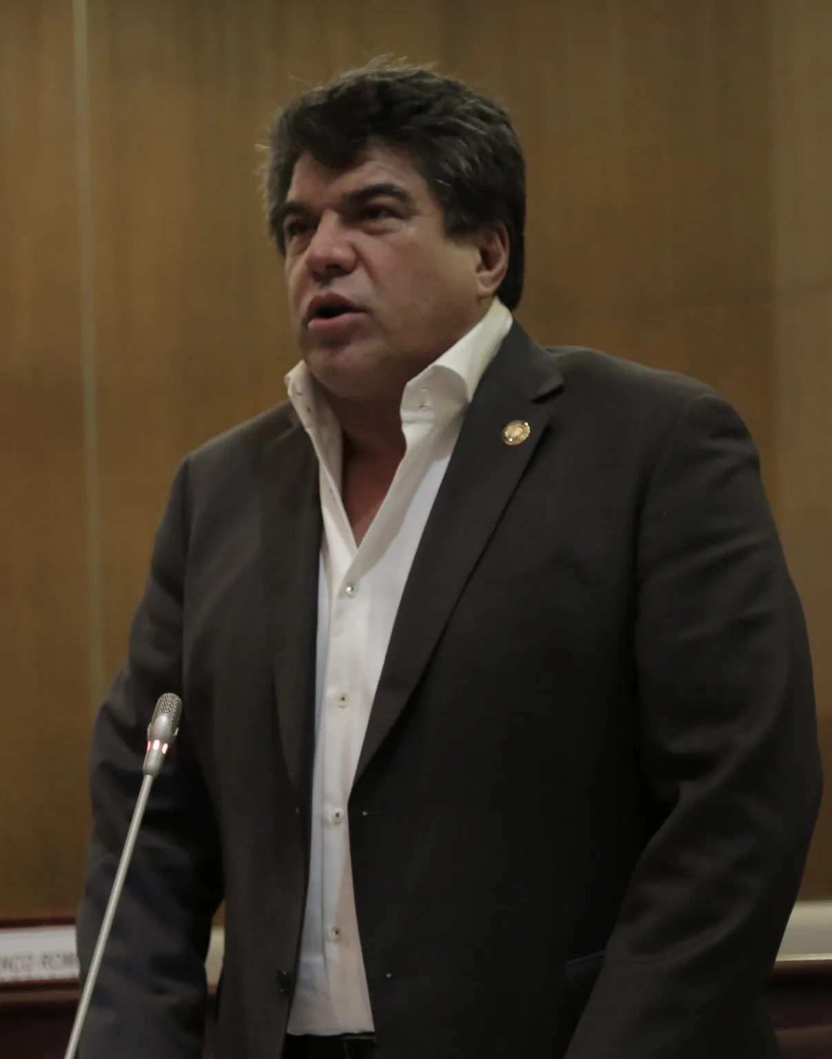 Patricio Mendoza