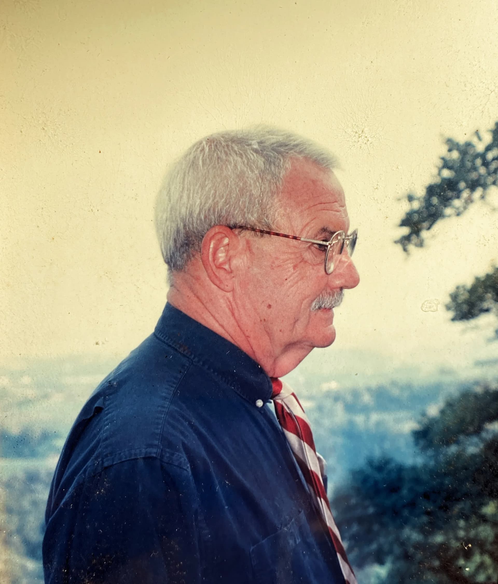 Robert Hollander
