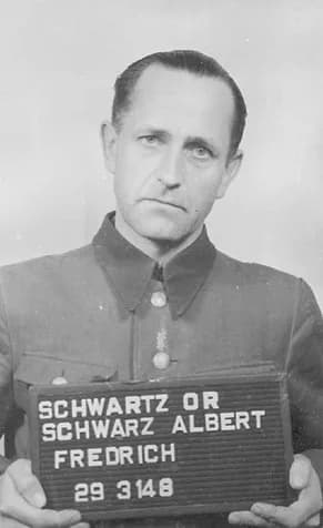 Albert Fredrich Schwartz