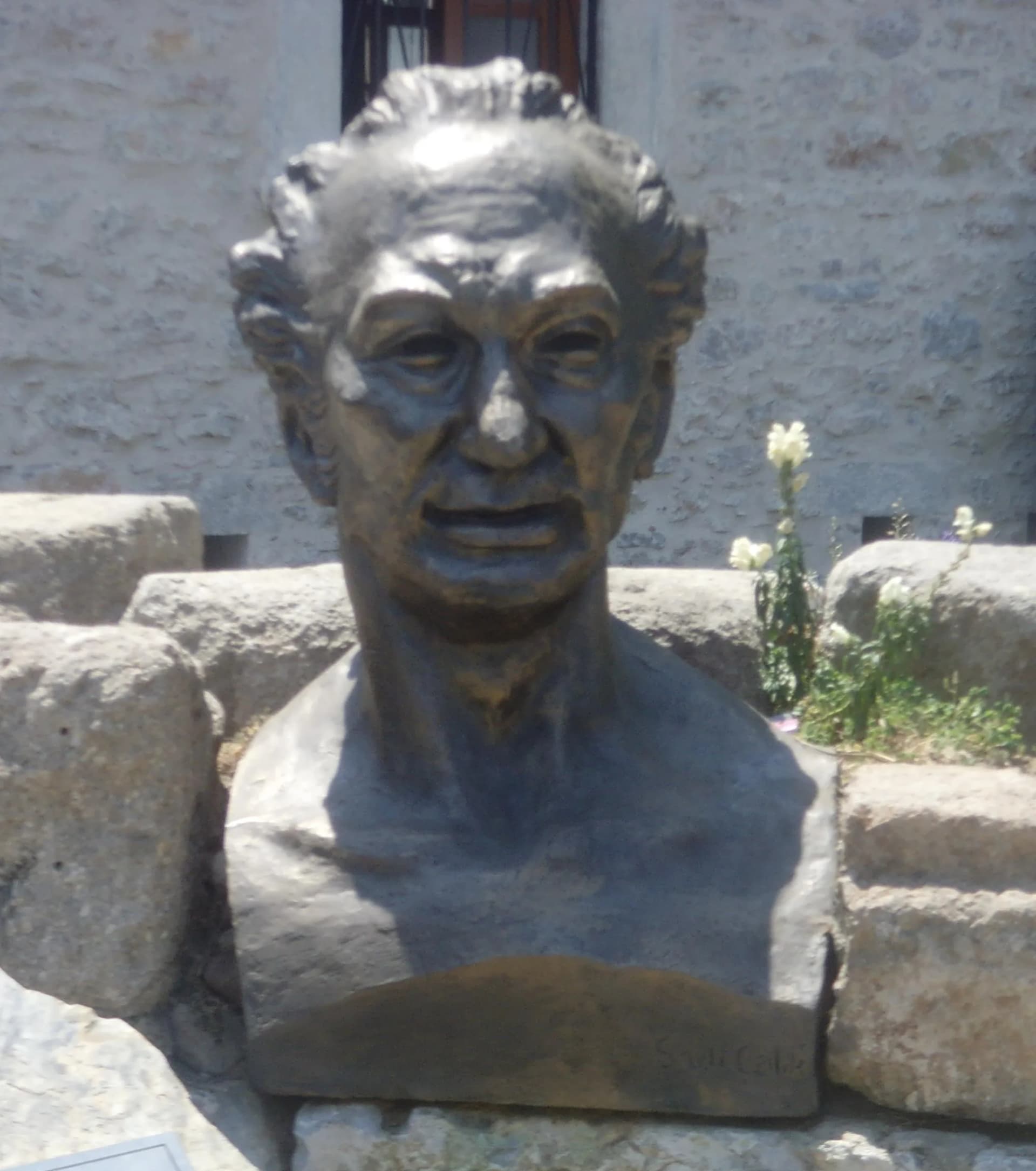 Cevat Şakir
