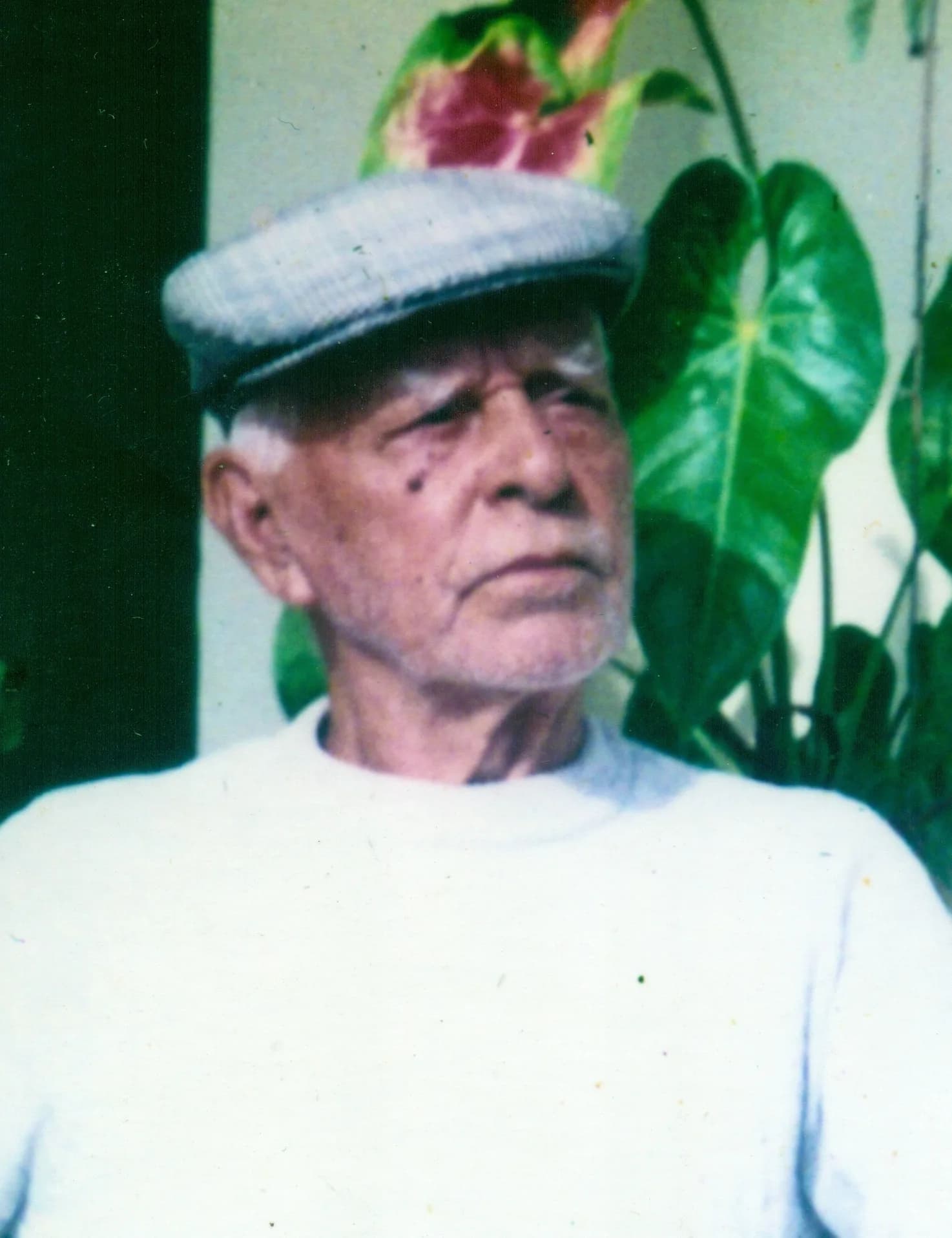 Alarico Corrêa Leite