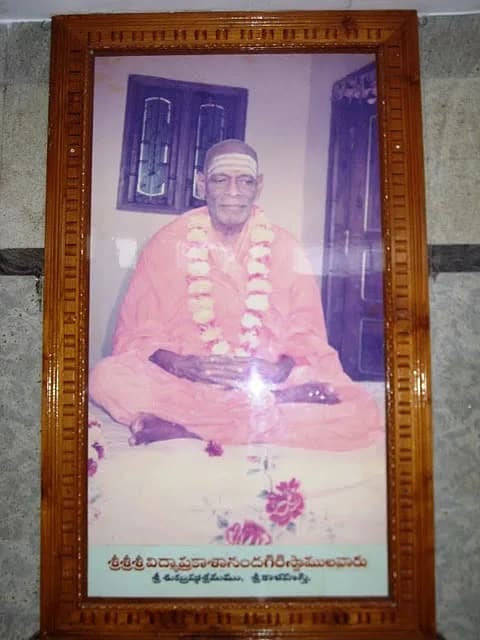 Swami Vidya Prakashananda Giri