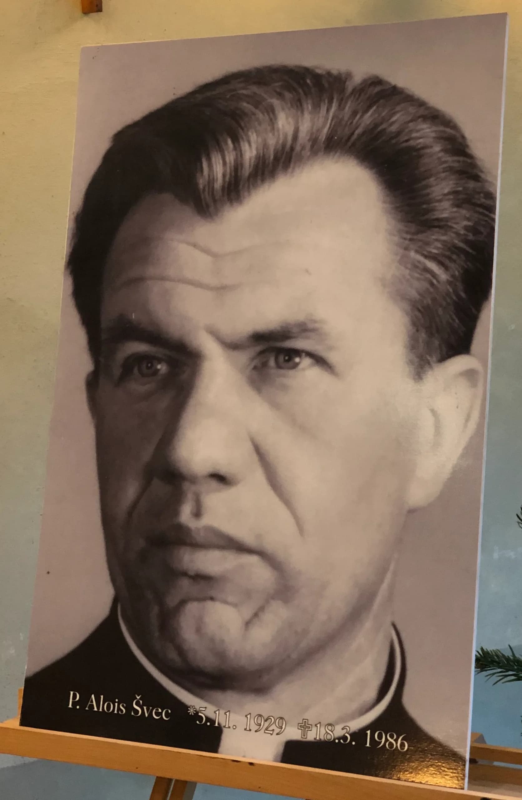 Alois Švec