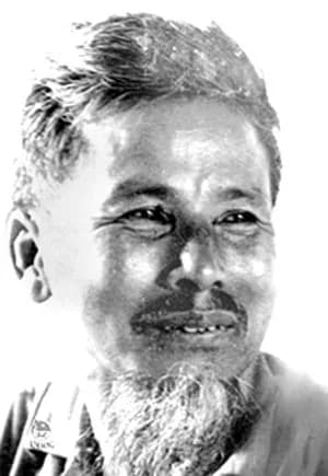 Nguyen Hong