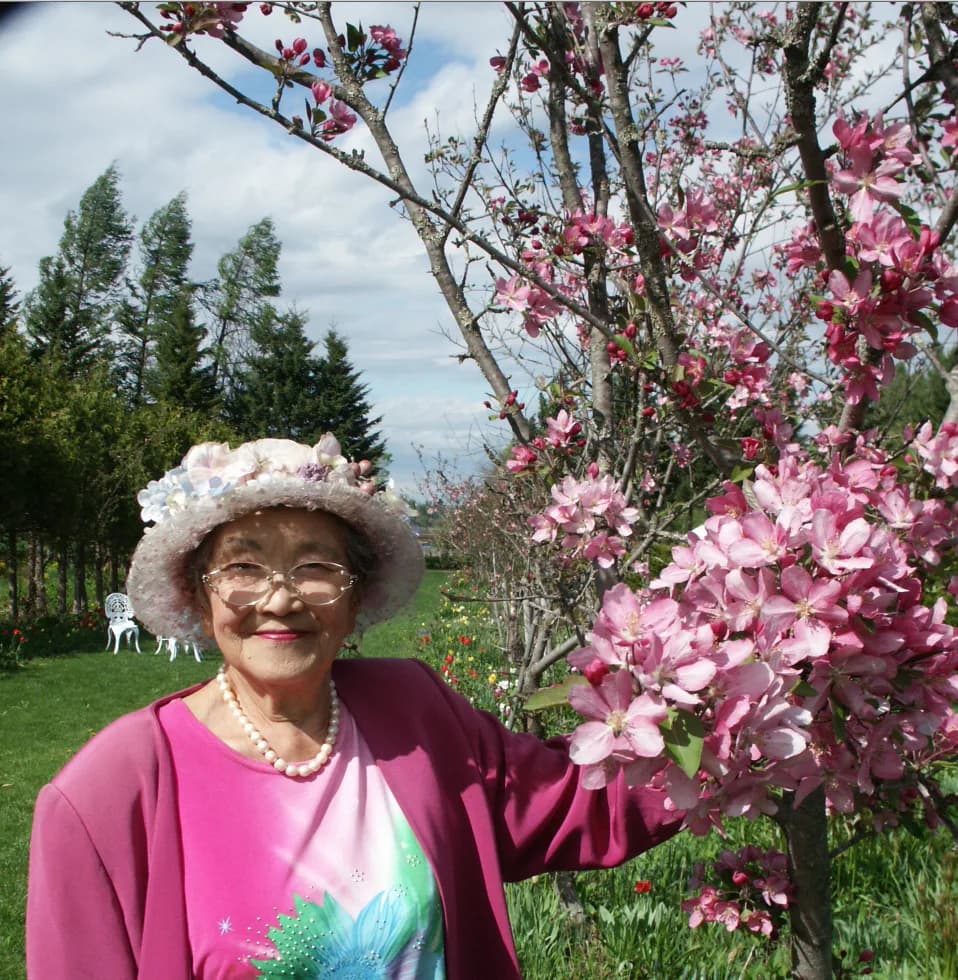 Akiyo Shichiku