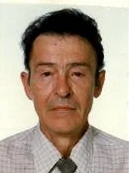 Vladimir P Galaiko