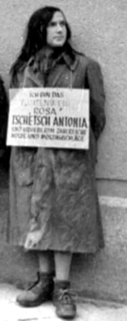 Tončka Čeč