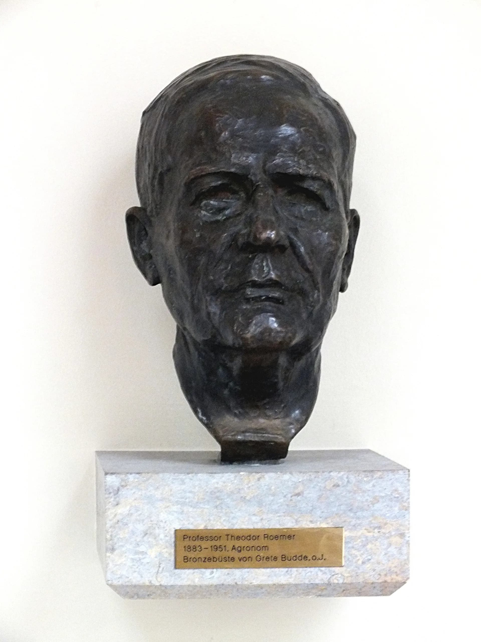 Theodor Roemer