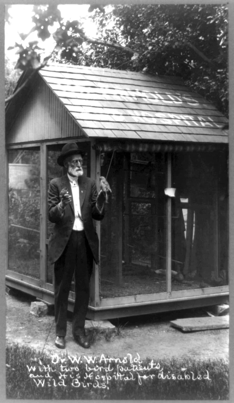 William W. Arnold