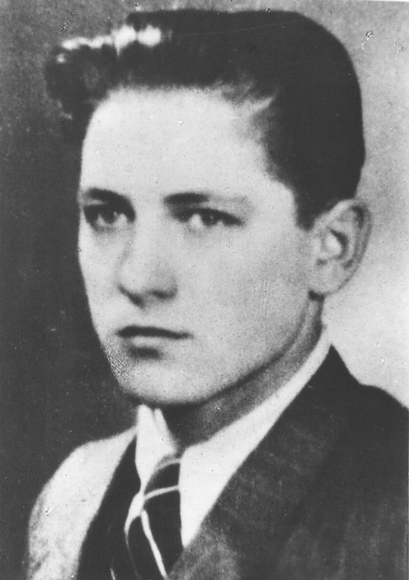 Vinko Megla