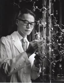 Makio Murayama