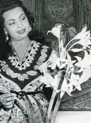 Shahrazad