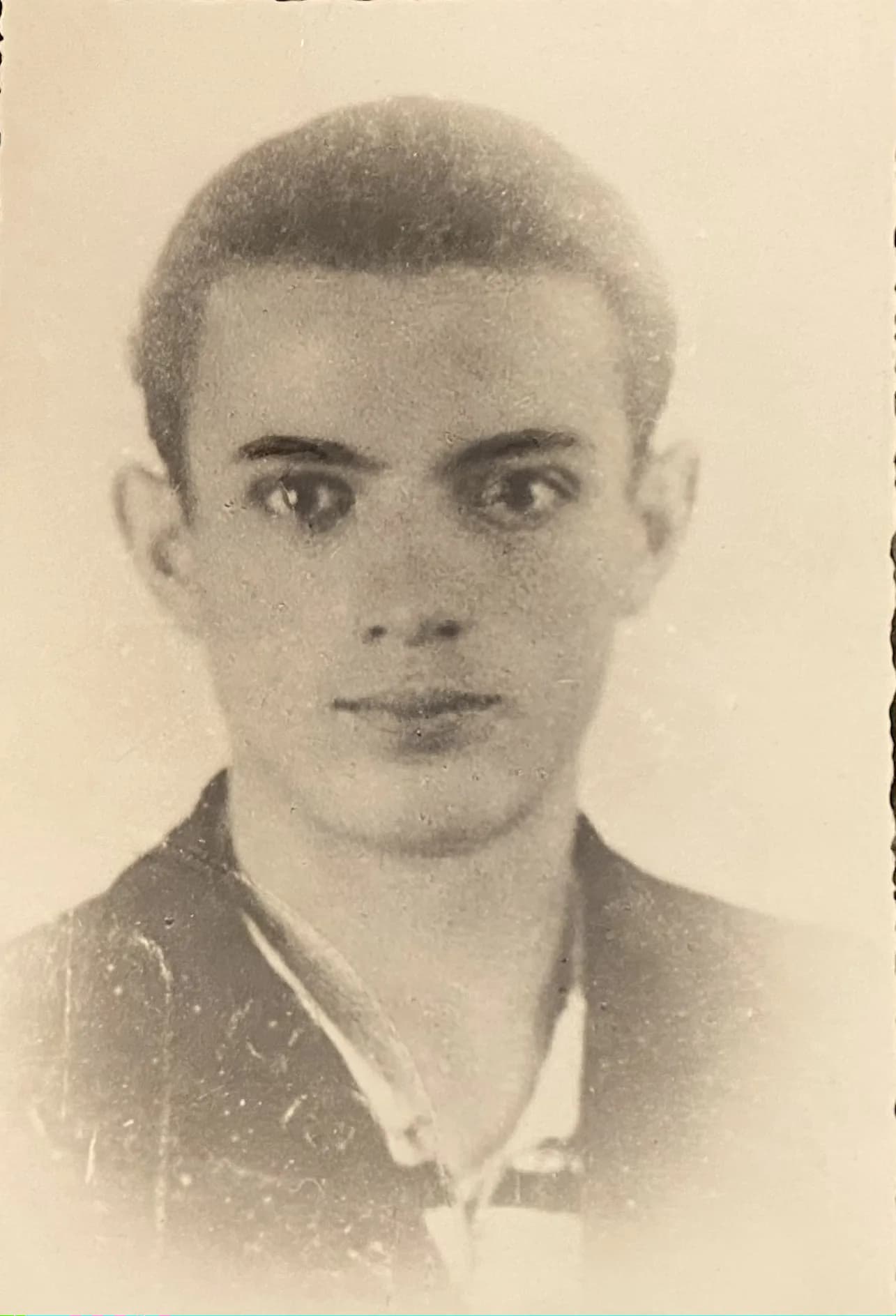 Dino Degani