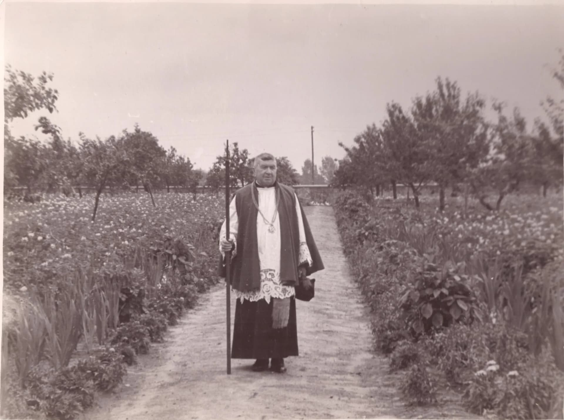 Kazimierz Czarkowski