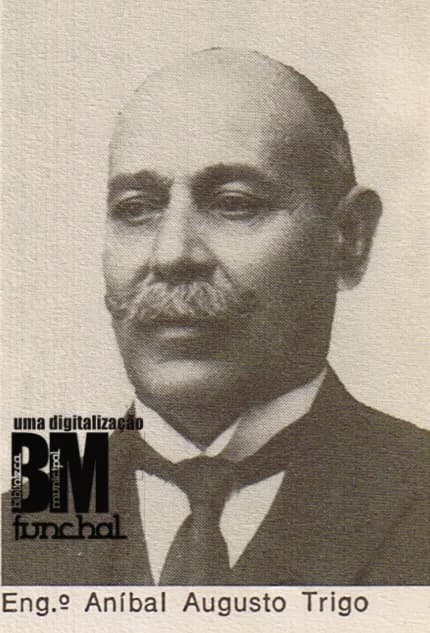 Aníbal Augusto Trigo