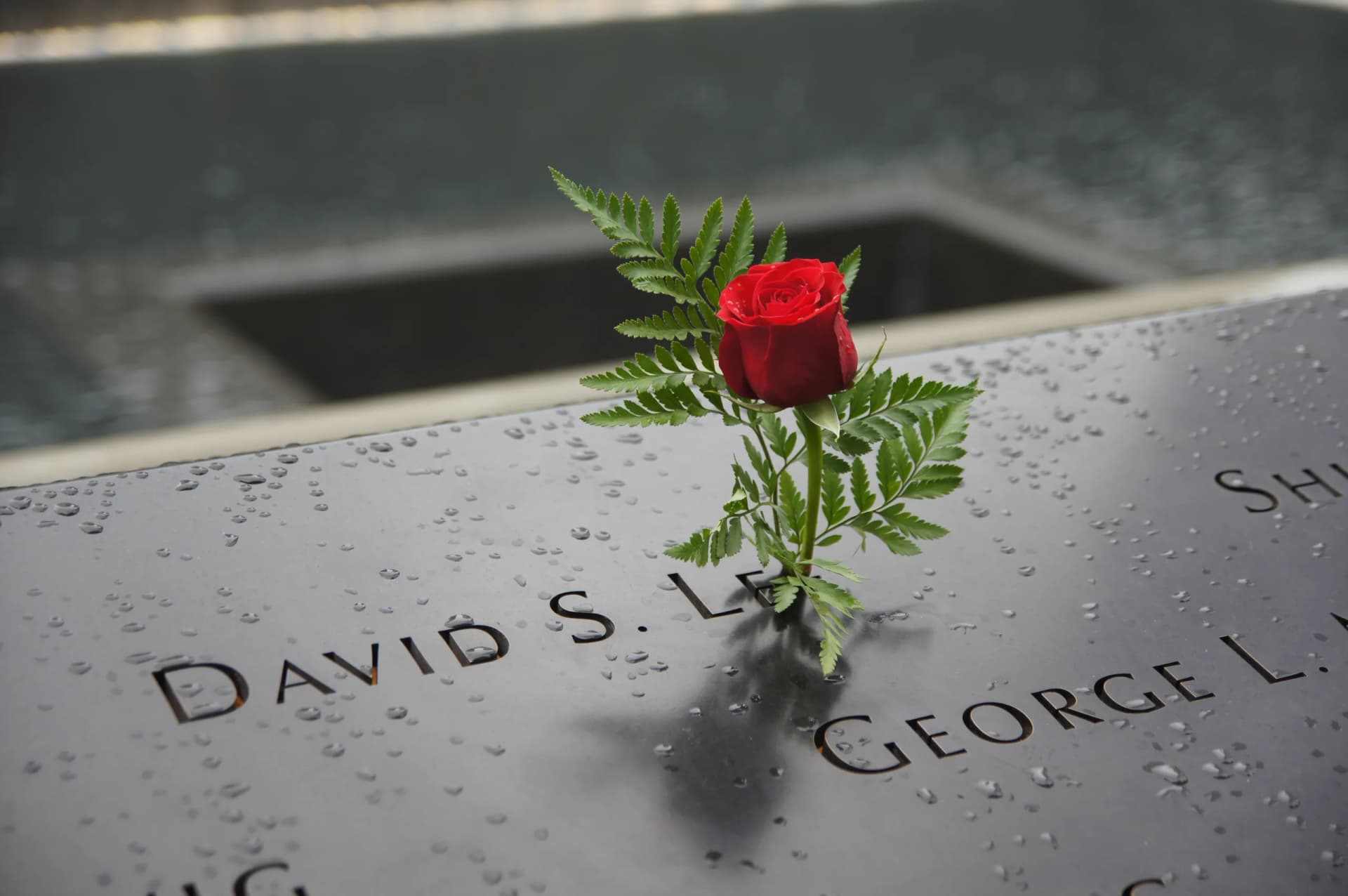 David Shufee Lee