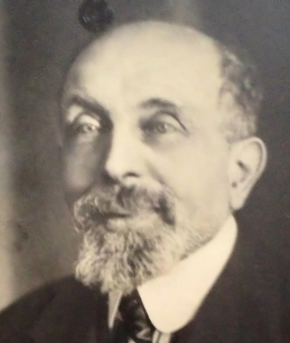 Albert Ehrer