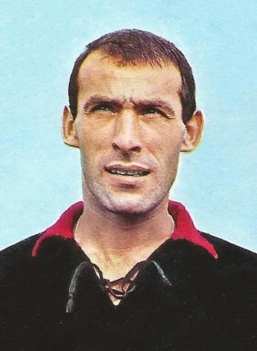 Dario Barluzzi