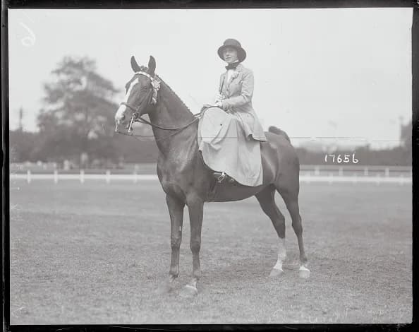 Clara Sargent Peck