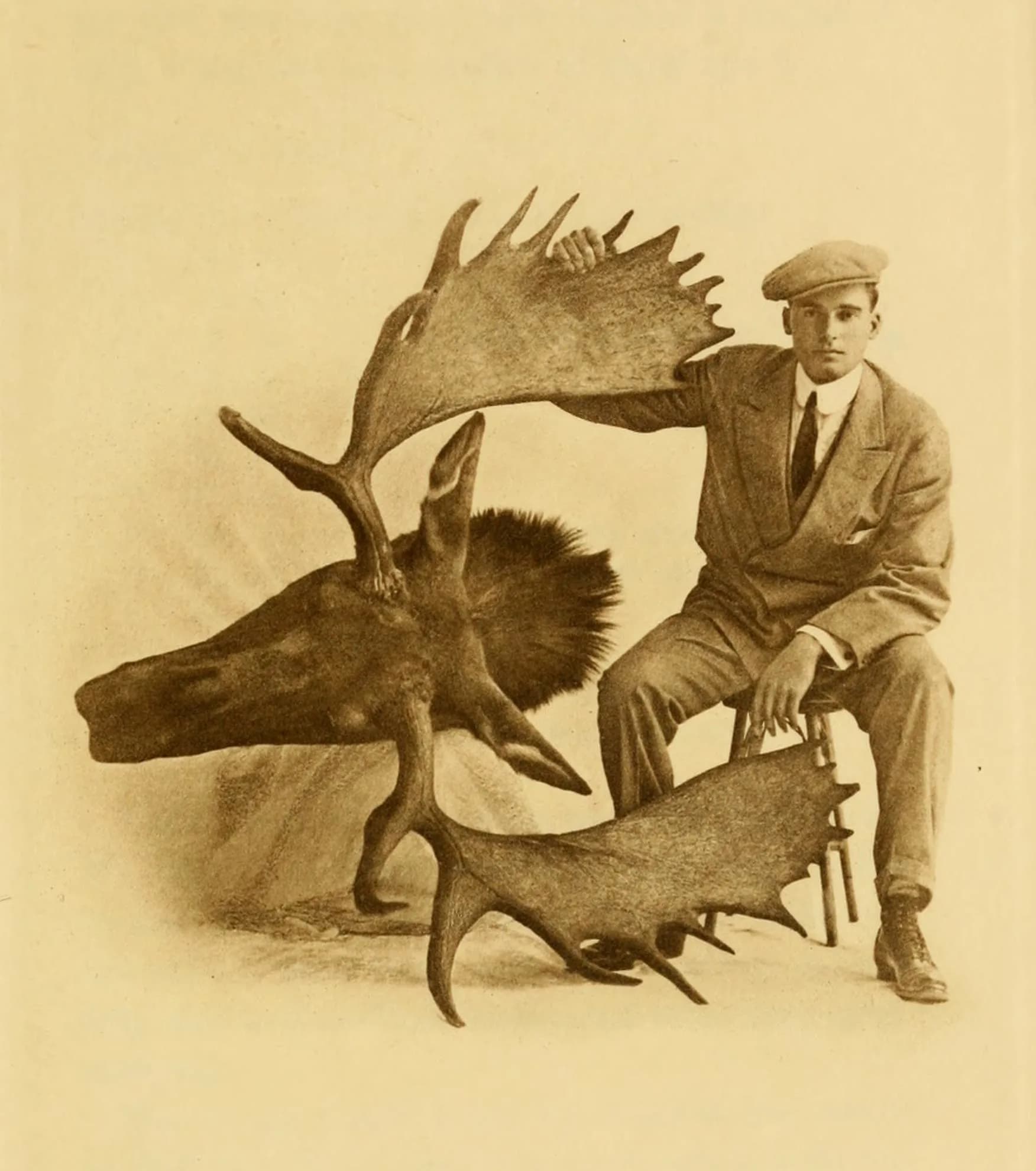 Steuart Davis