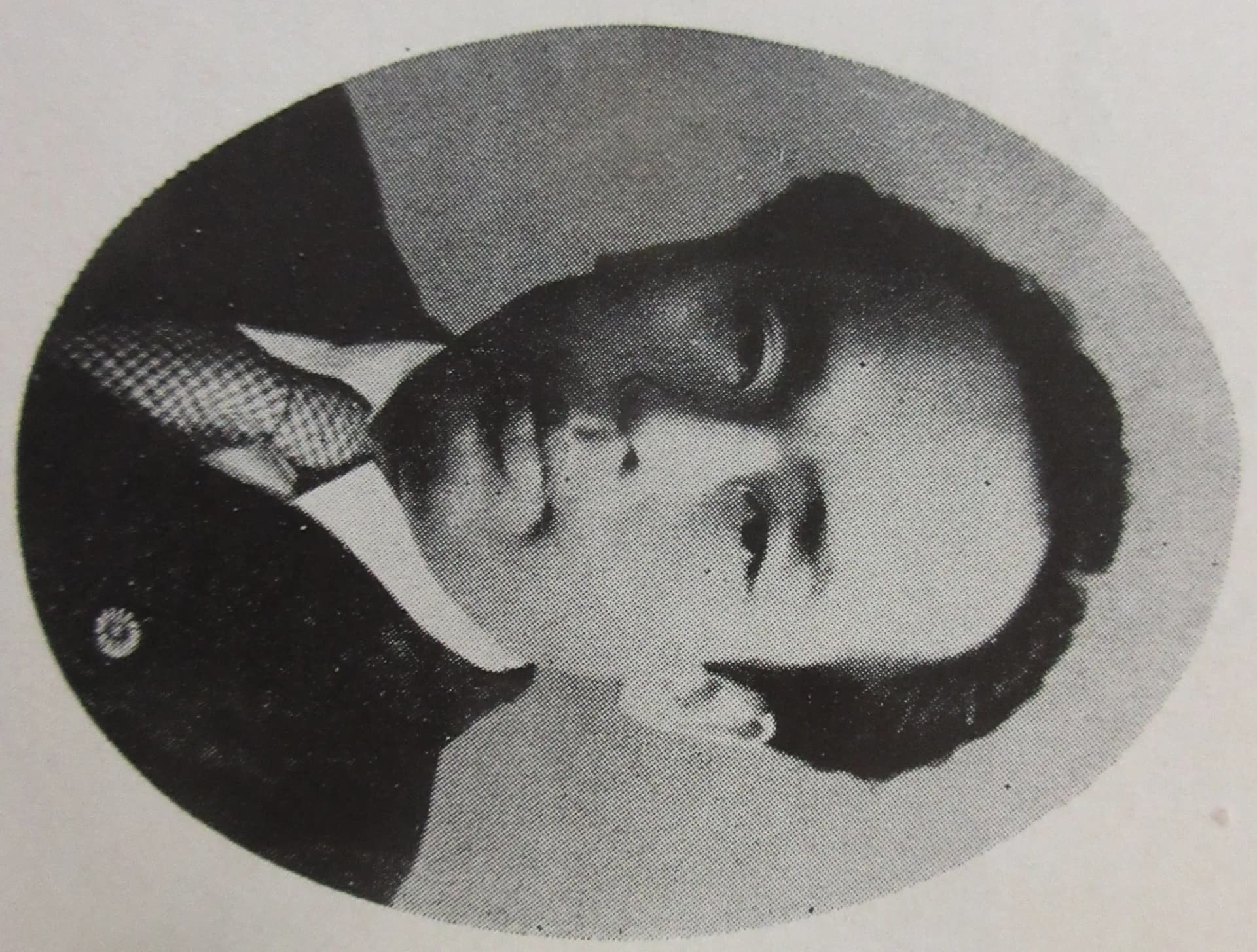 Kasuga Ikkō