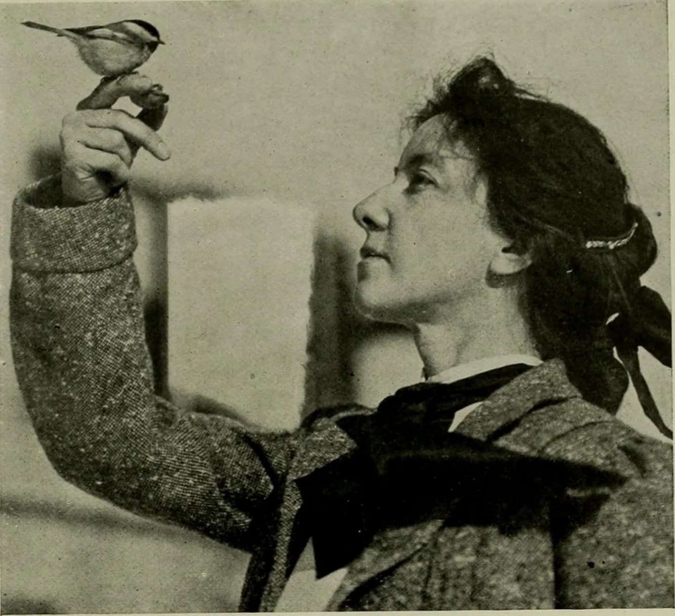 Louise Birt Baynes