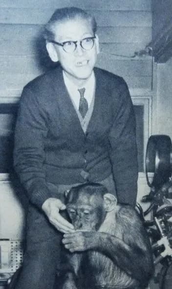 Yoshitaka Tsutsui