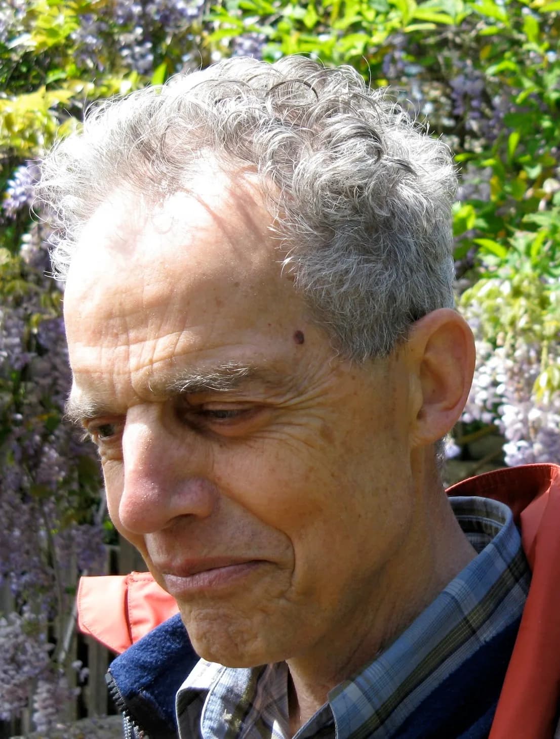 Maarten van Emden