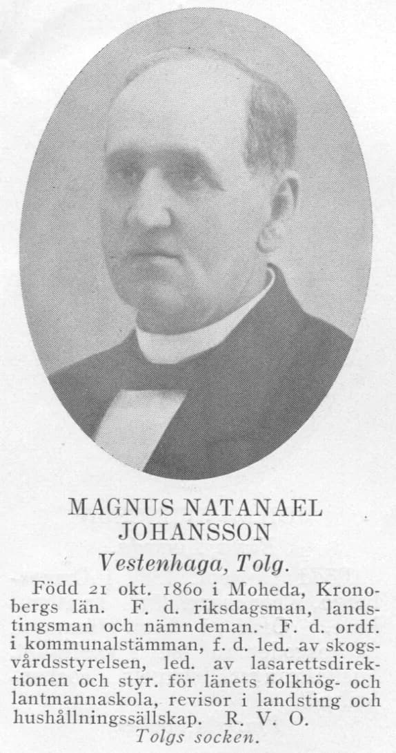 Magnus Nathanael Johansson