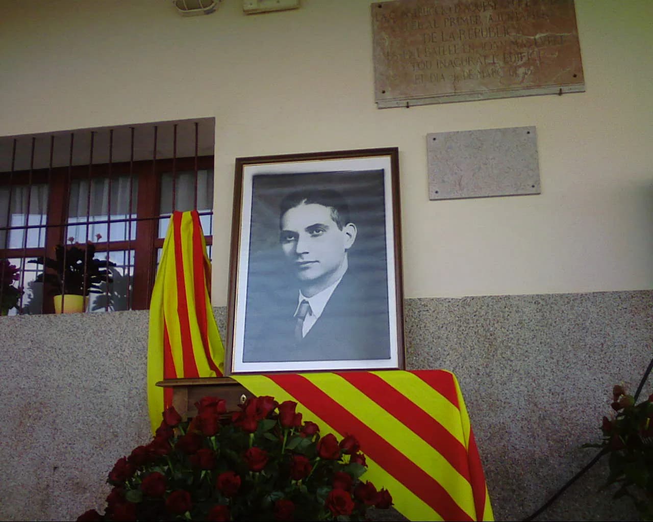 Joan Mas Verd