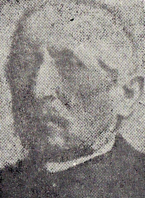 Antoni Krzyżanowski