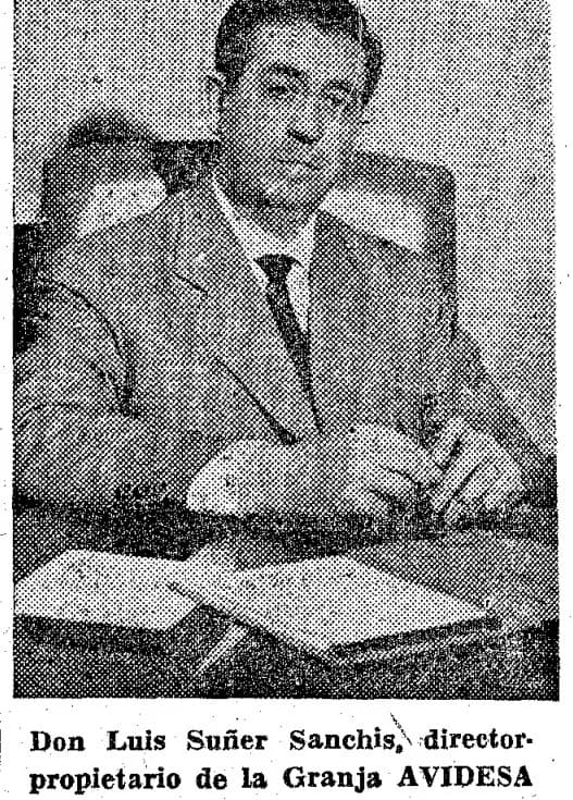 Luis Suñer Sanchis
