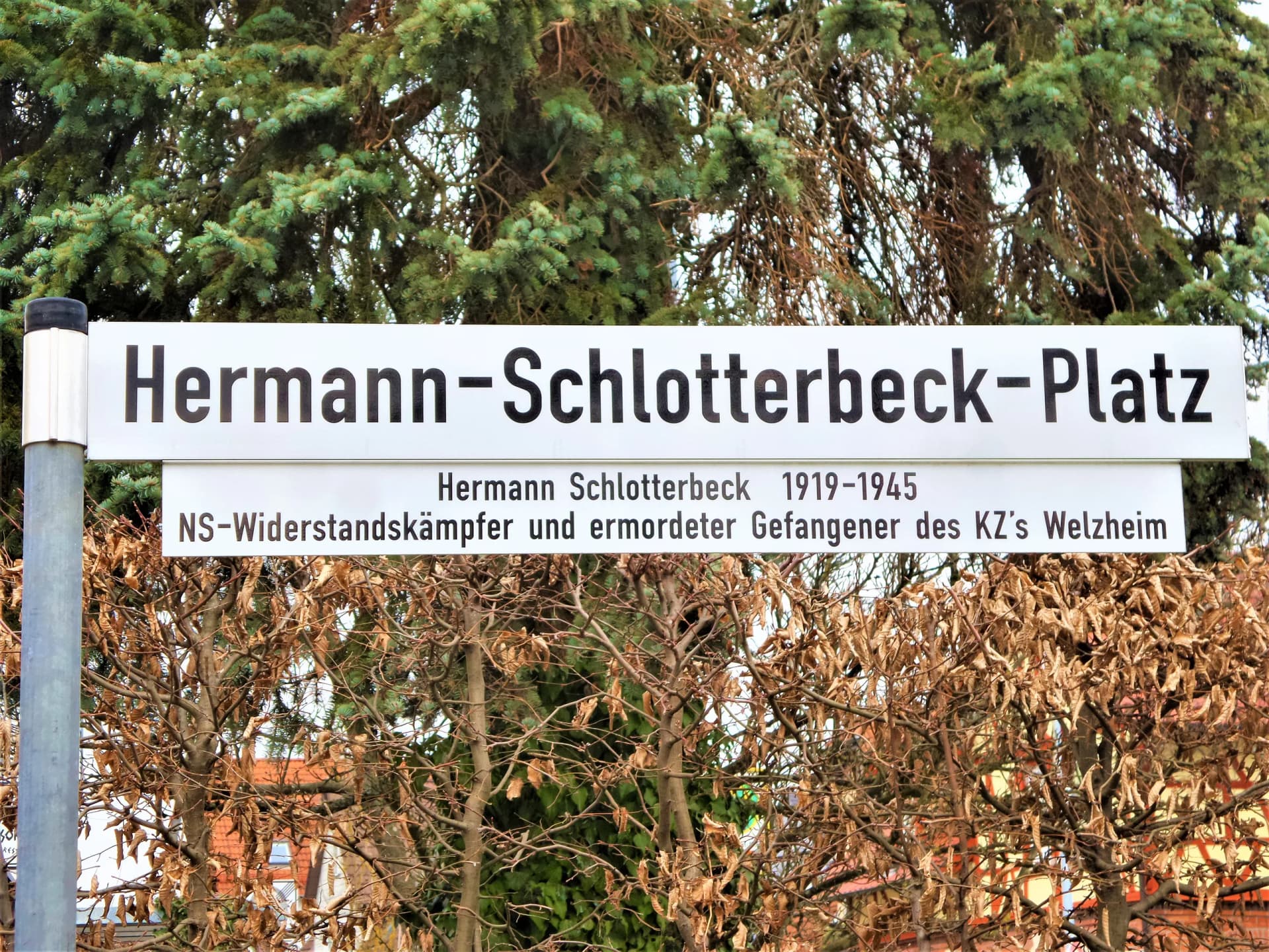 Hermann Schlotterbeck