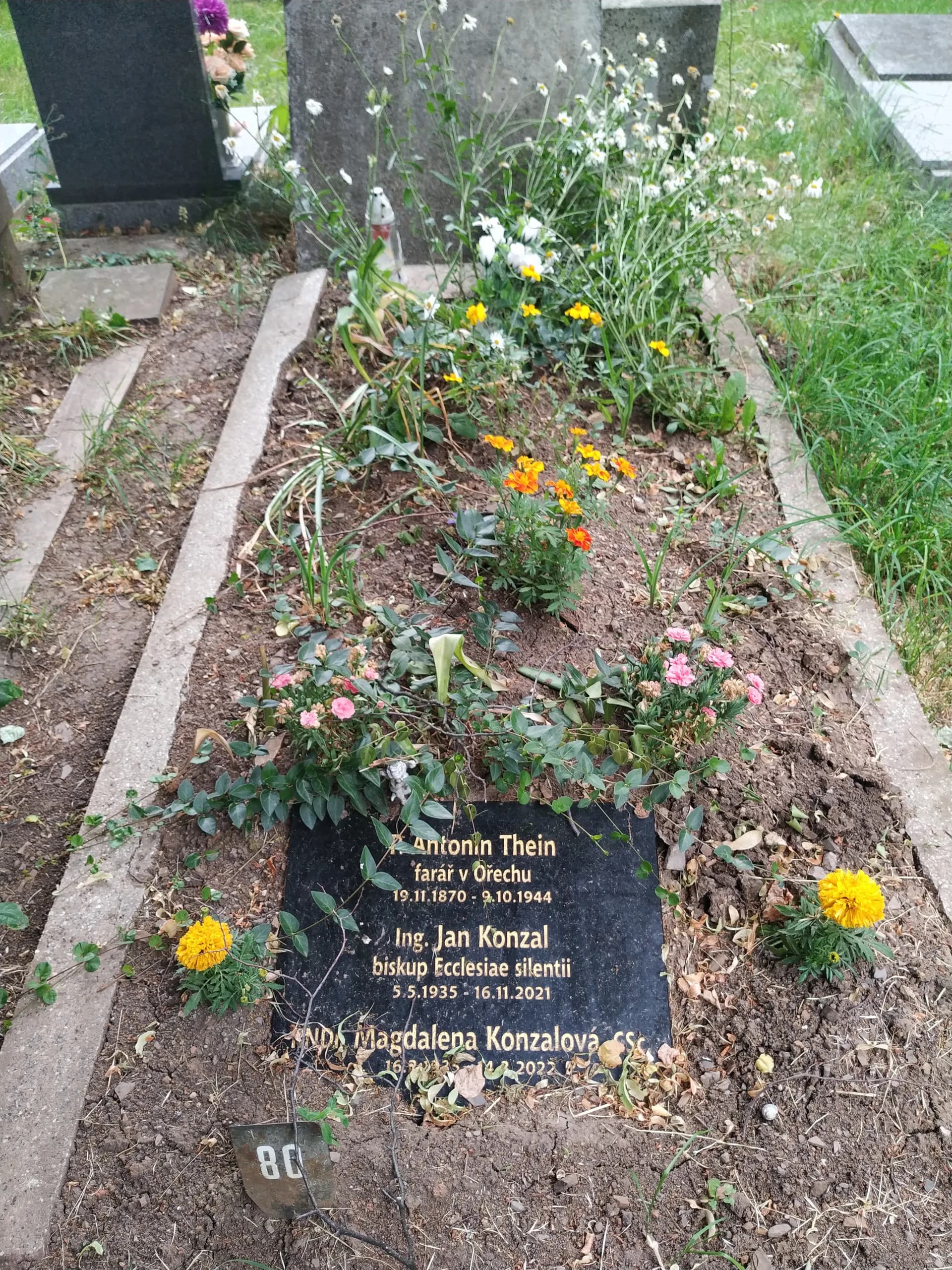 Jan Konzal