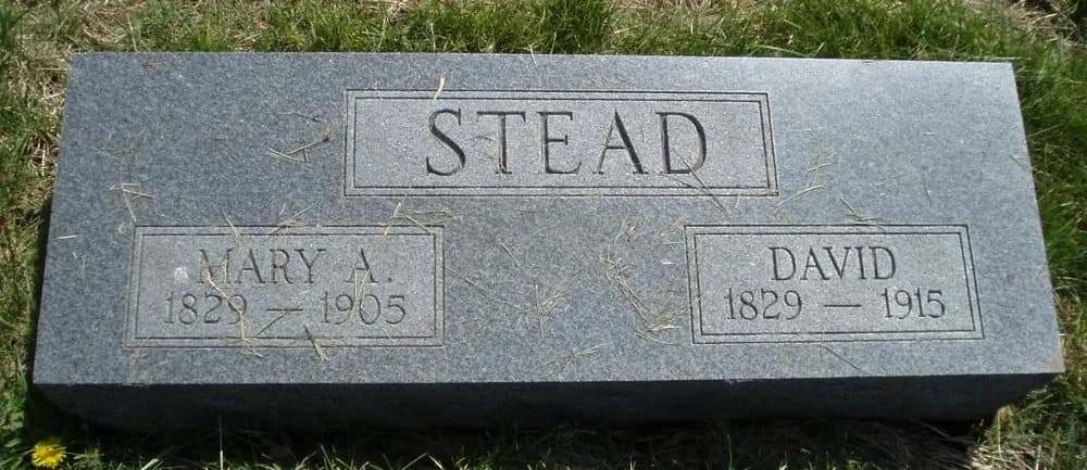 David Stead