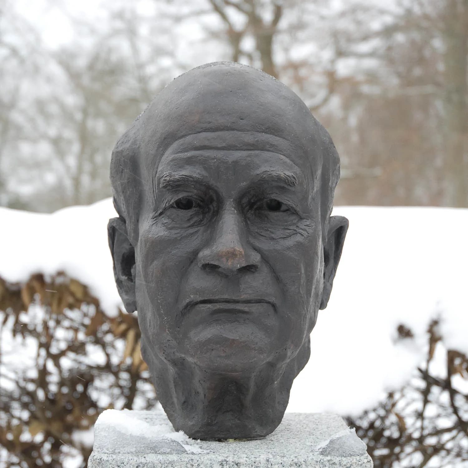 Johan Adelswärd