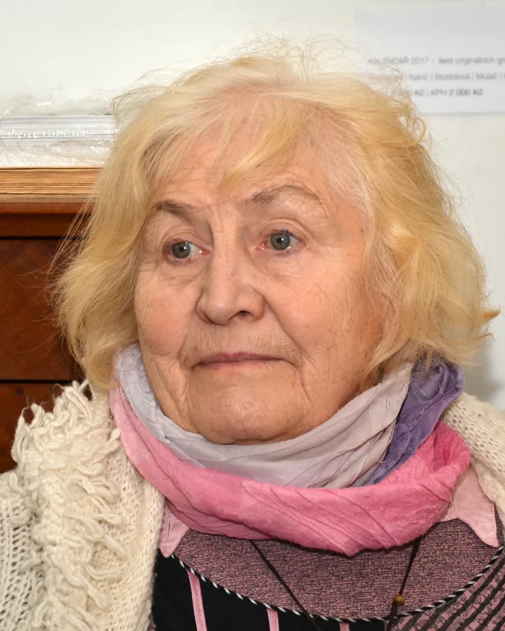 Dana Puchnarová