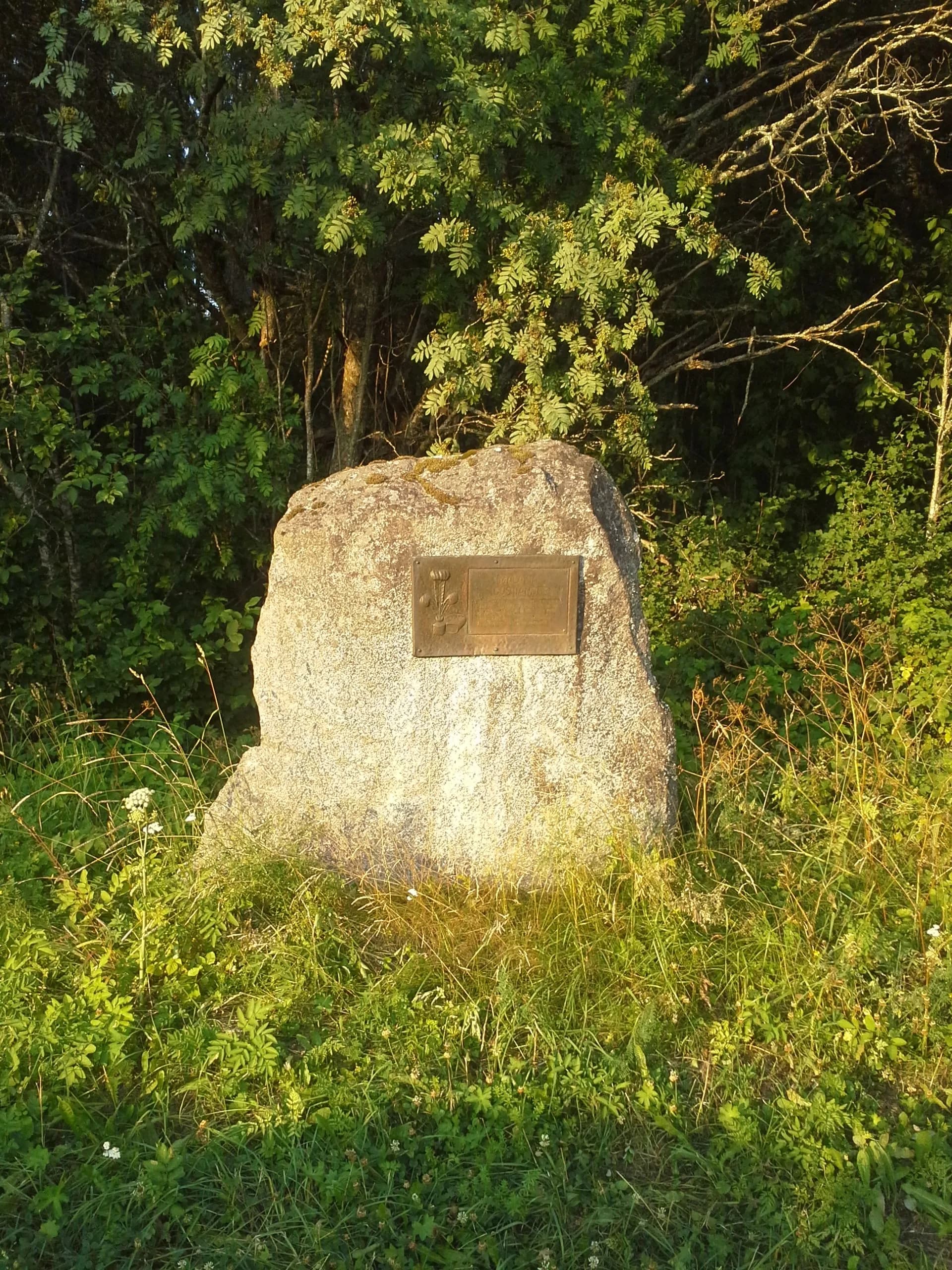 Malakias Costiander