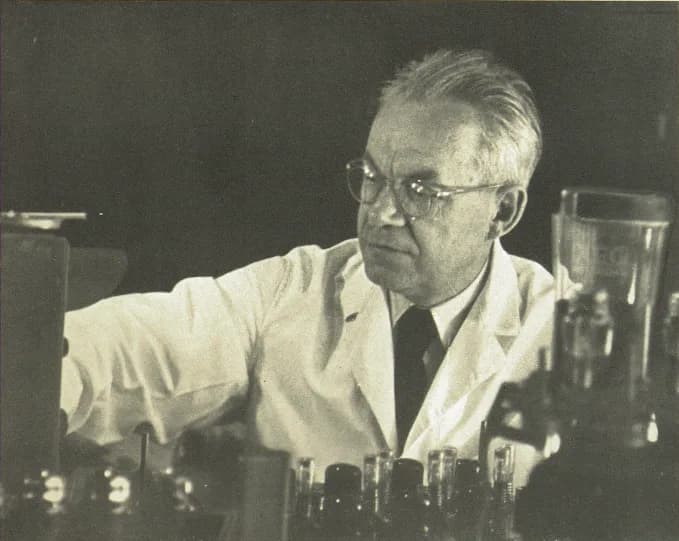 Vilém Laufberger