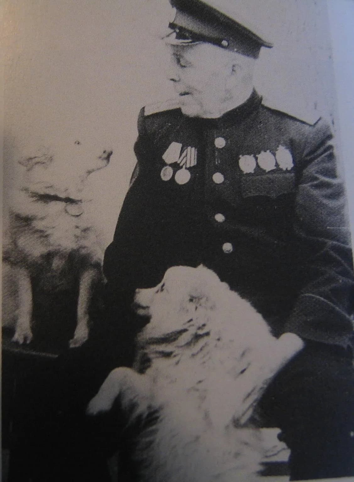 Valter Valli
