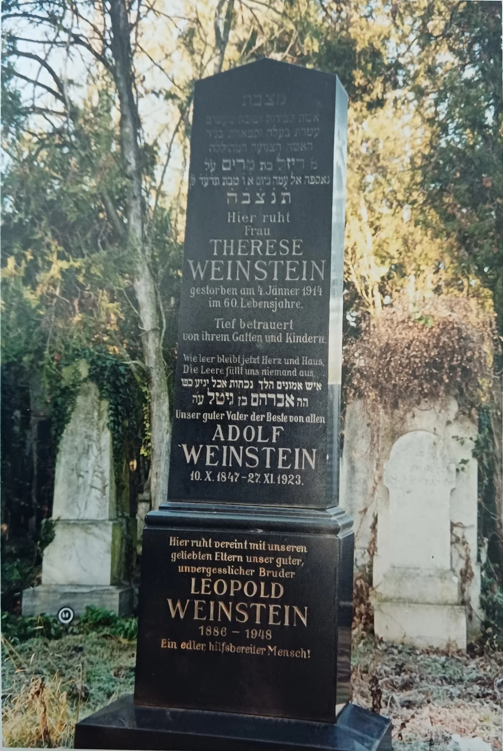 Leopold Weinstein